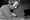 Odlazak jazz legende: Preminuo David Warren Brubeck