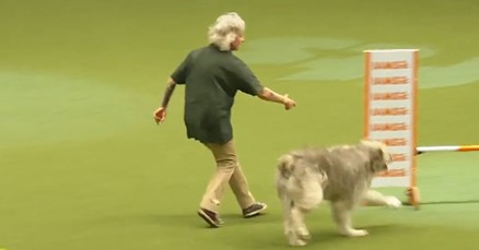 VIDEO Ovaj je pesonja nasmijao tisuće ljudi svojim ludim nastupom