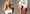 Anđelica Candice Swanepoel "skinula krila" i postala "zločesta djevojka"