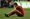 Deset najboljih koji bi mogli propustiti SP: Ronaldo, Messi, Zlatan, Ribery, Modrić...