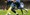 Roberto Carlos u misiji prijateljskog otimanja Daniela Alvesa Chelseaju
