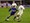 Varteks - Pula 5:0, Dinamo - Osijek 3:1