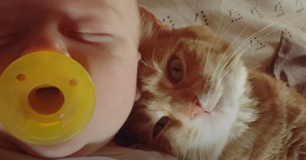 VIDEO Ova je maca opsjednuta svojim malenim vlasnikom i uči ga pravim vrijednostima