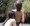 VIDEO Frendica se zabavljala s guzom Emiliy Ratajkowski u tangicama
