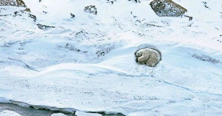 Konferencija o klimatskim promjenama u Norveškoj: "Glavni krivac za globalno zatopljenje je čovjek"