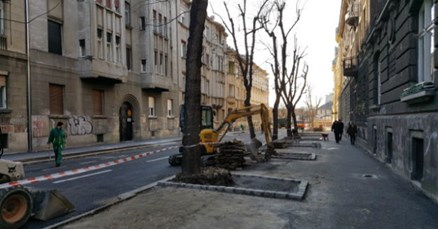 Zelena akcija: Zbog šlamperaja je srušeno 5 stabala u Gajevoj