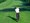 Teksašani grade golferski raj na našoj obali