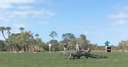Nećete vjerovati tko je prekinuo golferski turnir u Americi