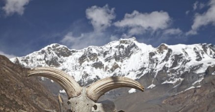 Tibetanski ledenjaci se smanjuju, temperature najviše u posljednjih 2000 godina