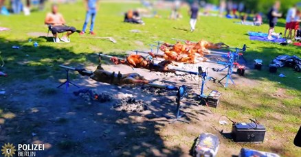 Bosanci u berlinskom parku okrenuli hrpu janjaca, došla policija, vatrogasci...
