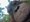 FOTO Orangutan ukrao GoPro kameru i napravio stotine selfieja