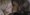 Video: Necenzurirana strast Angeline Jolie i Elizabeth Mitchell
