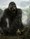 King Kong - promašaj?