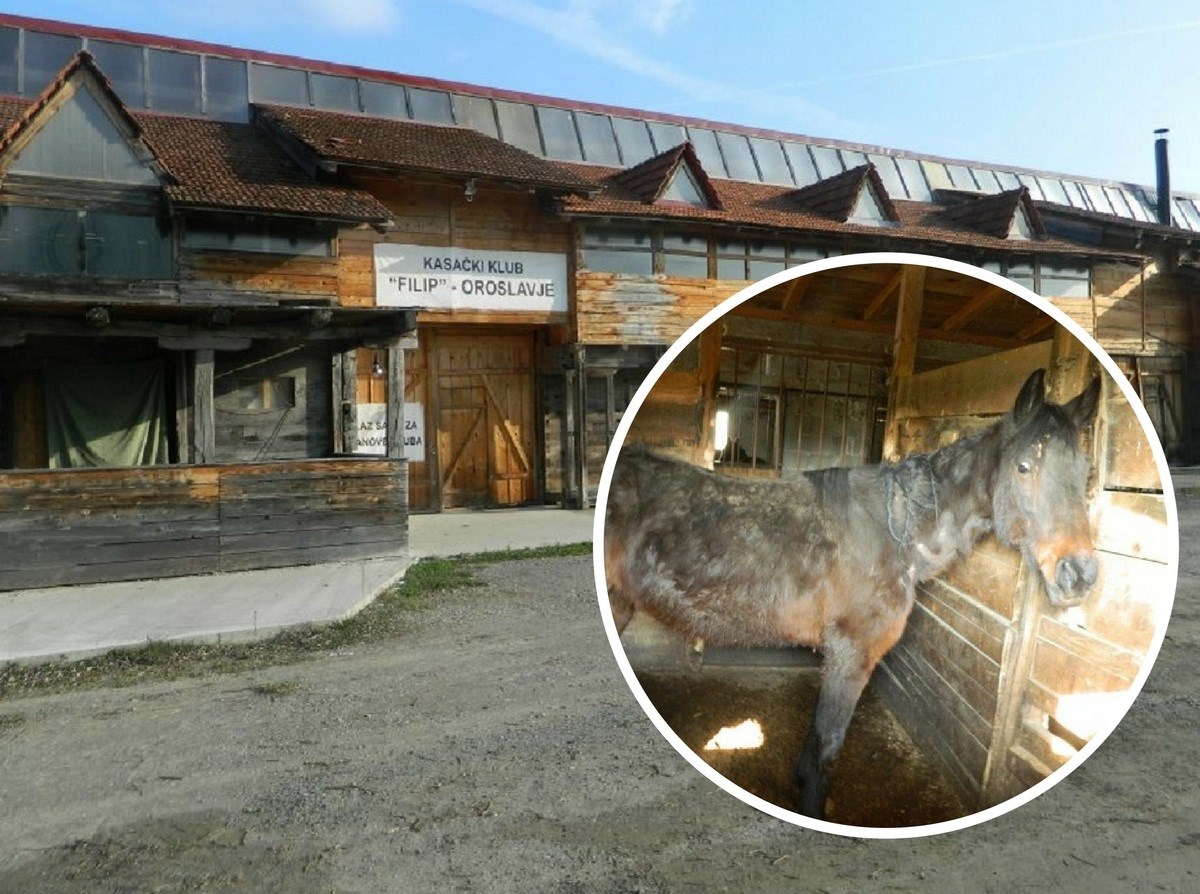 Uznemirujuce Fotografije Konji U Zagorju Cekaju Smrt U Mukama Index Hr