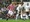 Video - Sramotan poraz Tottenhama: Stoke uzeo pobjedu jednim pogotkom