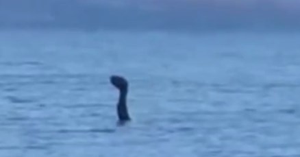 VIDEO Nessie na praznicima: Čudovište iz Loch Nessa snimljeno u Albaniji?