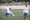 Hajduk nudi Malokua: Za Dinamo i Rijeku cijena duplo veća nego za ostale
