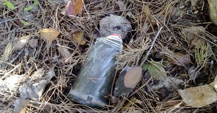 Društvo Marjan žali se gradonačelniku: Šef park-šume ništa ne radi u šumi
