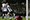 Video: Pobjeda Tottenhama, Modrić asistent