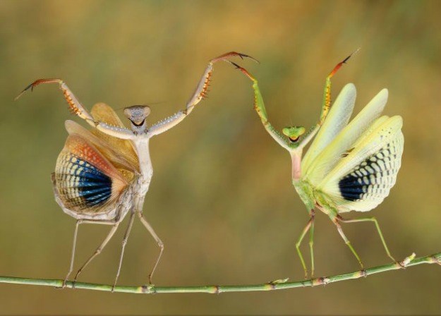 nature8_28102044_natgeo.jpg
