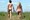 Najpoznatiji engleski nudist dobio žensku pratnju