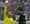 "Bravo" naši bundesligaši: "Badelj je rupa HSV-a, a Pavlović najgori debitant od 1997."