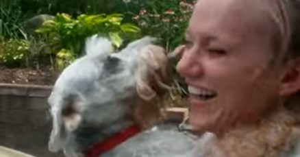 VIDEO Nakon dvije godine, pesonja se susreo s vlasnicom i pao u nesvijest od uzbuđenja