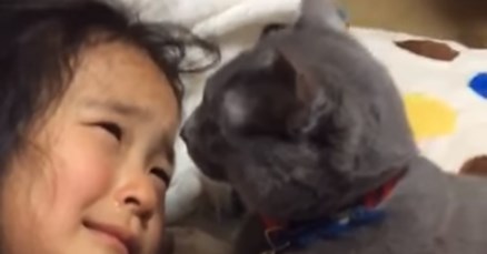 VIDEO Maca je tješila uplakanu djevojčicu i time dokazala da i one imaju osjećaje