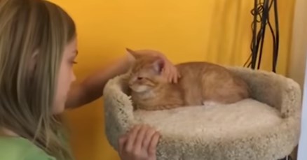 VIDEO Curica je dobila mačića za rođendan, a njezina je reakcija raznježila svijet