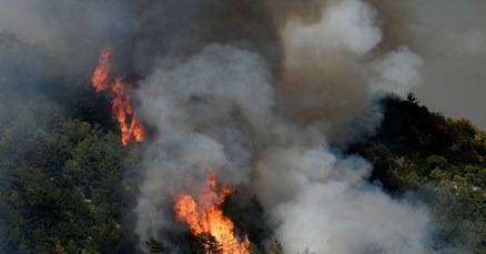 Podignuta optužnica protiv žene koja je podmetnula sedam požara u okolici Šibenika
