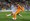 Ronaldo lijepim pogotkom najavio El Clasico