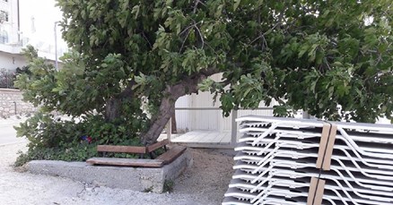 Tvrdi da ju je osoblje hotela potjeralo s mjesta gdje se kupa godinama, oni imaju drugu priču