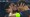 SRNU POLJUPCIMA OBASUO UPLAKANI BRAZILAC Zabio gol i bacio se na legendarnog kapetana