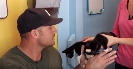 VIDEO Muškarci koji ne podnose mačke imali su bliski susret s hrpom mačića