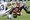 Super Bowl: Pobjeda Tampa Bay Buccaneersa