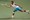 Tsonga do finala Tokija šetnjom, Južnij teškm mukom