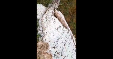 Tuča poharala sjeverni dio Istre, pogledajte snimke