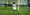 Tottenham u problemima: Treba nam Love