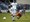 Dinamo pregazio slovenskog trećeligaša 17:0