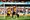 Video: Wolverhampton stigao do boda u infarktnoj završnici protiv Swansea