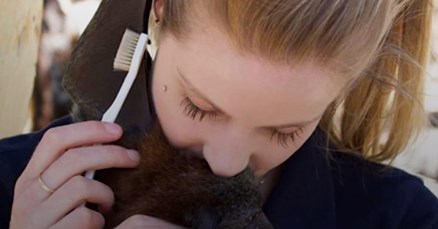 VIDEO Žena je pobijedila anksioznost uz pomoć šišmiša
