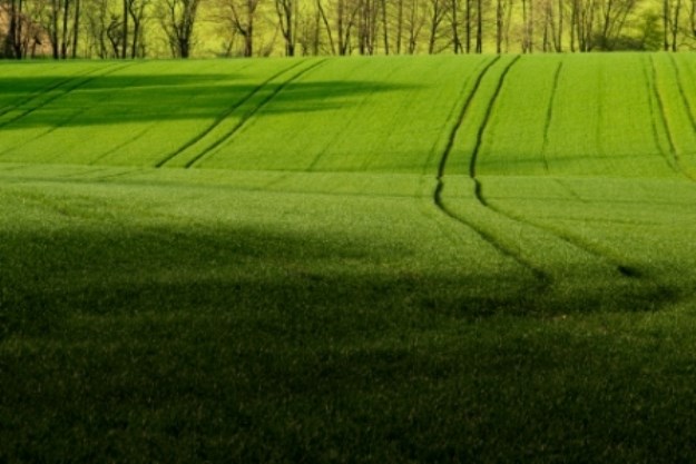 EU fondovi: Lokalnim akcijskim grupama isplaćen novac iz Programa ruralnog razvoja
