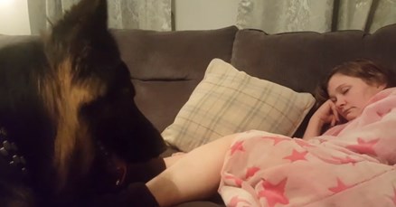 VIDEO Preslatki pesonja pokušao je probuditi vlasnicu na genijalan način