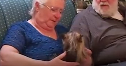 VIDEO Bakica je izgubila svog psića, a onda ju je obitelj iznenadila na najljepši način
