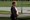 VIDEO Merkel se danas jako tresla, objasnila je što joj je bilo