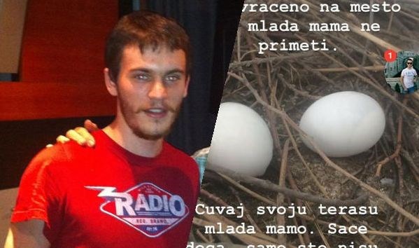 Srpski gitarist objavio što je učinio golubici koja mu ...