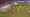 Norvežani vodili 2:0 pa se u 97. minuti spasili poraza u skandinavskom derbiju