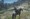 Dosta smo igrali Red Dead Redemption 2. I imamo neke ozbiljne zamjerke