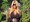 Pjevačica Jessica Simpson u 39. godini čeka treće dijete