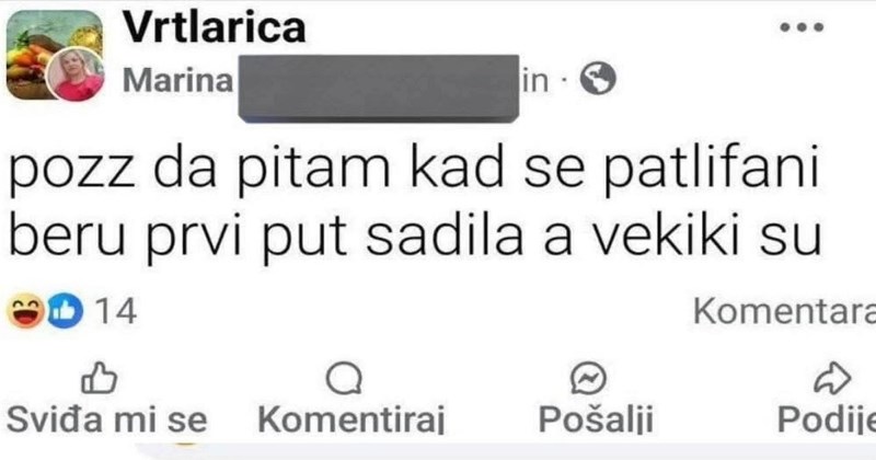 Žena je u FB grupi tražila savjet oko sadnje patlidžana, sad svi plaču od smijeha na prvi komentar
